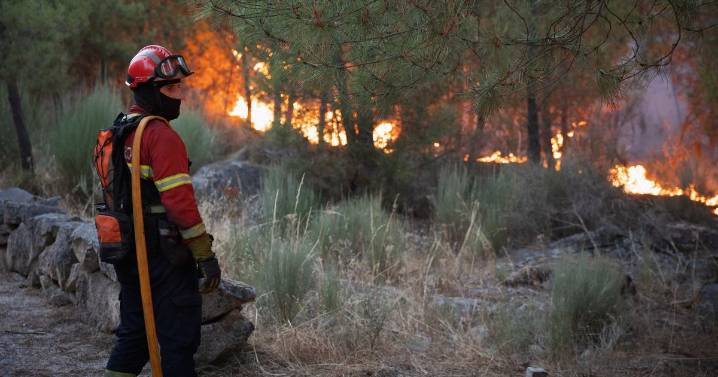 Boy, 14, gives wild reason for starting devastating wildfires as 97 blazes tackled