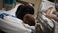 España, a la cabeza de las infecciones por ‘C. auris’, una ‘bacteria de hospital’