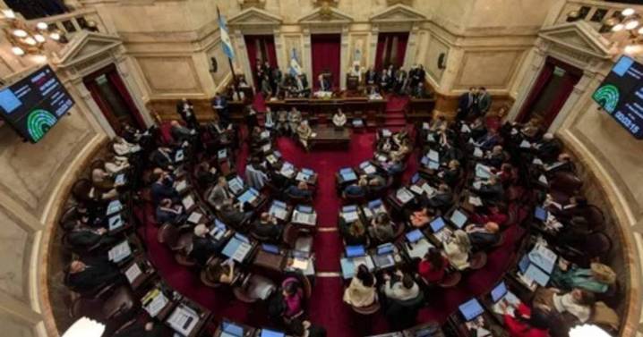 El Senado rechazó el veto en Discapacidad y la ley deberá ser promulgada