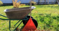 Ask an Expert — Fall yard and garden tips