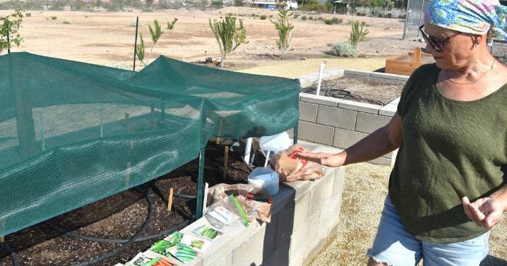 Let the growing begin: Bullhead Community Garden is fully leased for first season