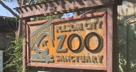 Future of Folsom Zoo at risk due to city’s budget deficit.