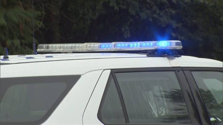 Police confirm pilot’s death after plane crash in Lillooet, B.C.