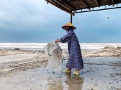 Typhoon Bualoi: One dead, four missing, nearly 30,000 evacuated in Vietnam