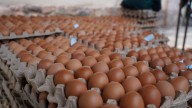 No tires el maple de huevos vacío: así de fácil podés transformarlo y usarlo en casa como recién comprado