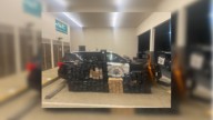 Tons of cocaine, $100M cash shipped from L.A. to NYC via luxury flights