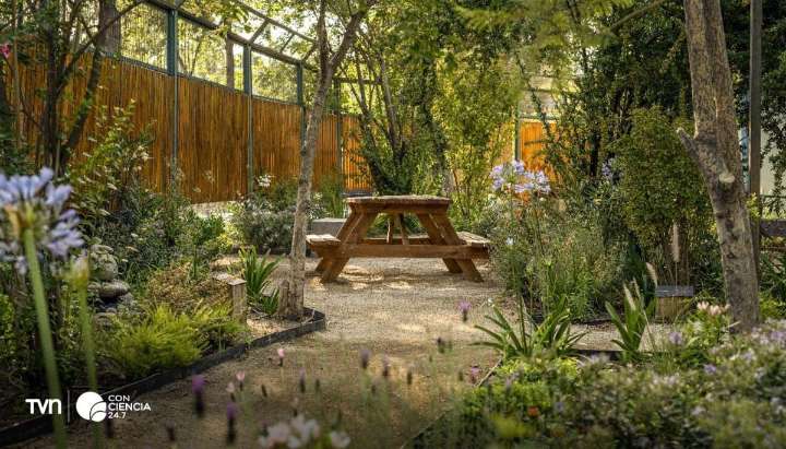 Estudio confirma beneficios terapéuticos de jardines sanadores en hospitales públicos