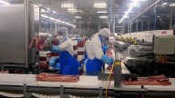 Golpe al porcino español: China impone un 20 % de aranceles y Aragón reacciona