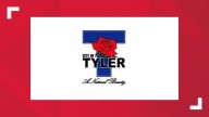 Tyler seeks resident input on new light rail proposal through survey, town hall