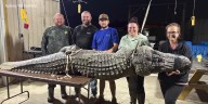 Hunting group catches massive 12