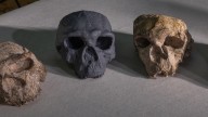 Shocking 'million-year-old' skull discovery finds humans 'interbred with other humanoid' species for 500k years
