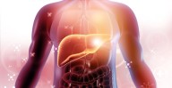 Científicos argentinos identifican molécula que protege el hígado en casos de hepatitis fulminante