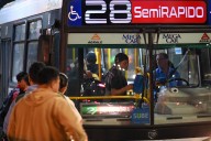 En la Argentina. Por qué se celebra hoy el Día del Colectivero