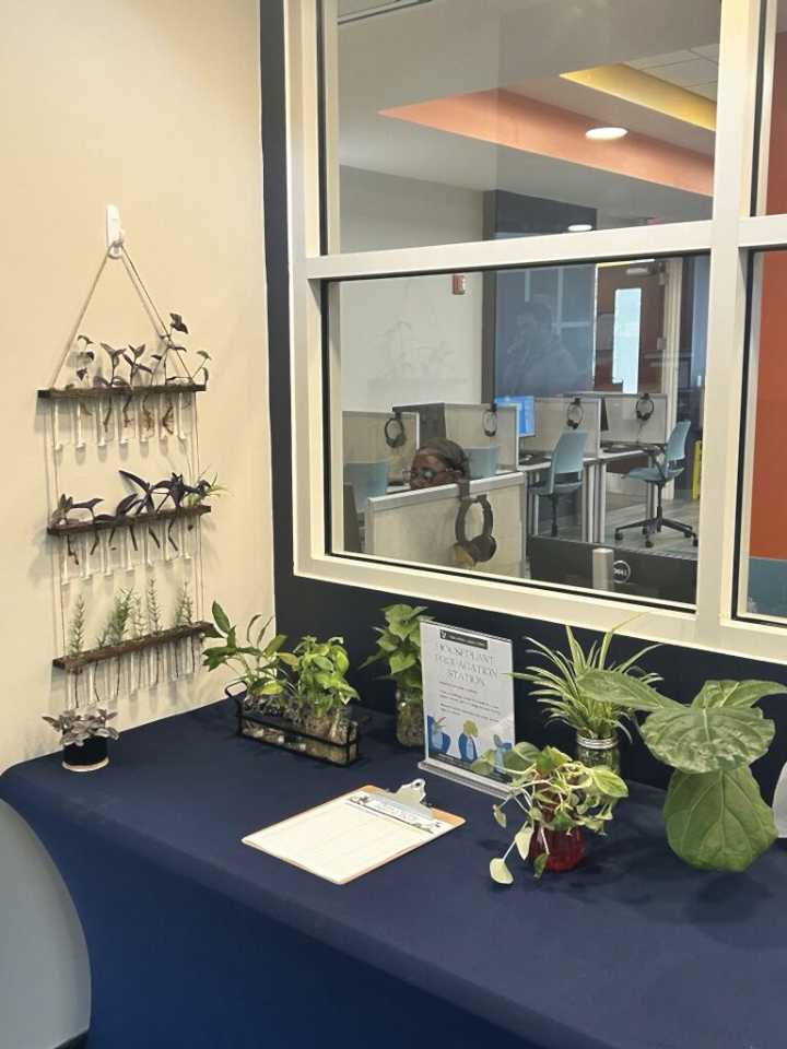 Auburn Public Library launches Houseplant Propagation Station