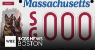 New bills would help protect and support retired and injured police K9s in Massachusetts