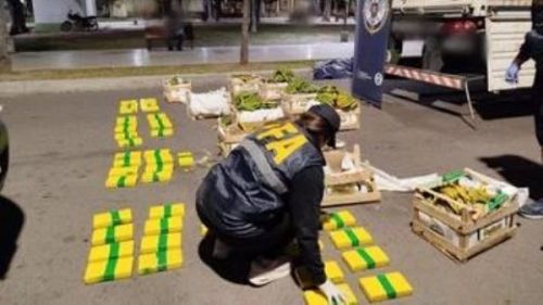 80 kilos de cocaína en un camión cargado con bananas