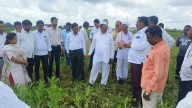 Nashik: Minister Narhari Zirwal Visits Rain-Hit Peth Taluka, Assures Crop Damage Compensation