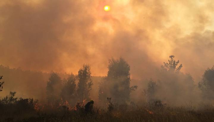 Conaf llama a prevenir incendios forestales durante las Fiestas Patrias en la V Región