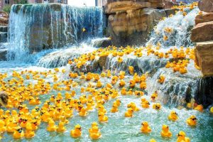 Cross Timbers Rotary event highlights River Walk’s festival potential