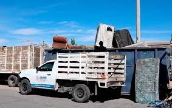 Combaten plagas con el programa 'Destilichadero'