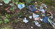 Loch Lomond lay-bys branded 'longest and most disgusting open air toilet in the country'
