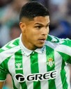 🤯⚽💥 ‘Cucho’ Hernández marcó un nuevo golazo con Betis en LaLiga -