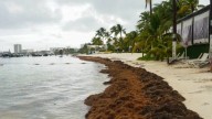 SMN advierte sobre la posible formación del Ciclón Tropical Mario
