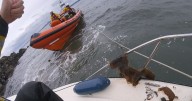 Three people stranded on island in the Firth of Forth as rescue crew race to scene