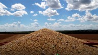 La soja tuvo una ganancia semanal de $17 mil en medio de la polémica por la fugaz aplicación de las retenciones cero