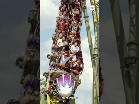 Theme park guest dies after roller coaster ride in Florida