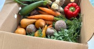 'I only ate organic food for a month - it was eye