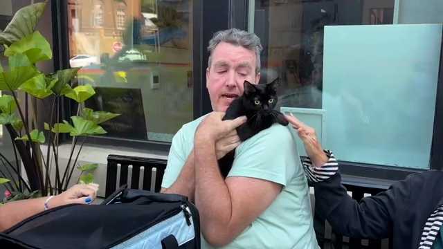 Jelly the cat rescued from Pittsburgh Squirrel Hill apartment