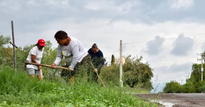Más de 14 mil familias y sus comunidades se han visto beneficiadas con el programa de empleo temporal en Aguascalientes