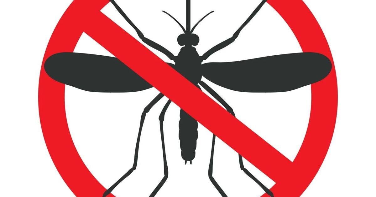 Mosquito spraying scheduled for Sunday night at Rotary Park