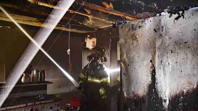 Nine pets die in South Carolina house fire