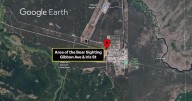 Bear sightings prompt safety alert in West Yellowstone