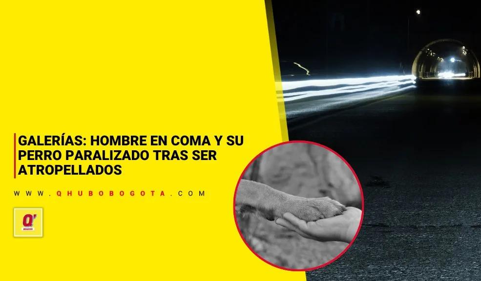 Galerías: hombre está en coma y su perro paralizado tras ser atropellados