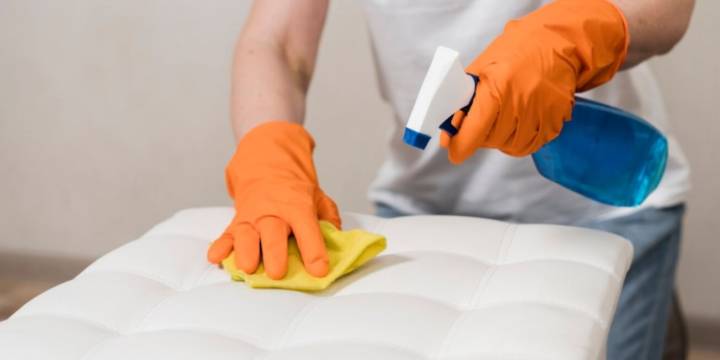 ¿Cómo eliminar los ácaros de casa fácilmente? Lo que hay que saber