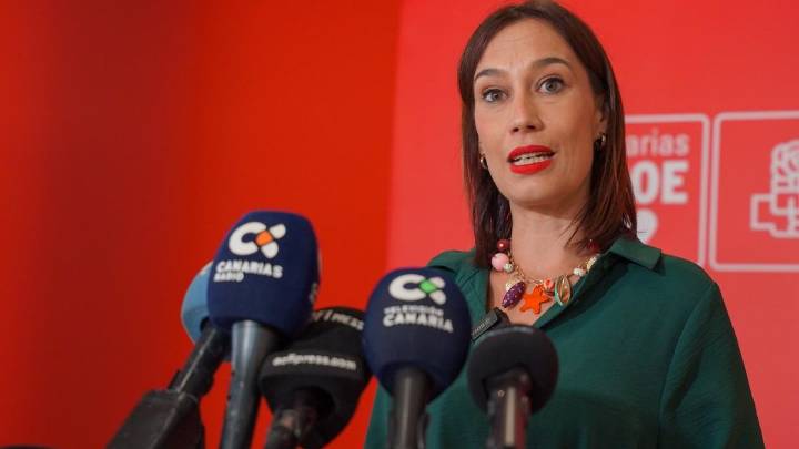 El PSOE ve "bochornosa" la gestión del Gobierno canario ante la ola de calor en los centros educativos