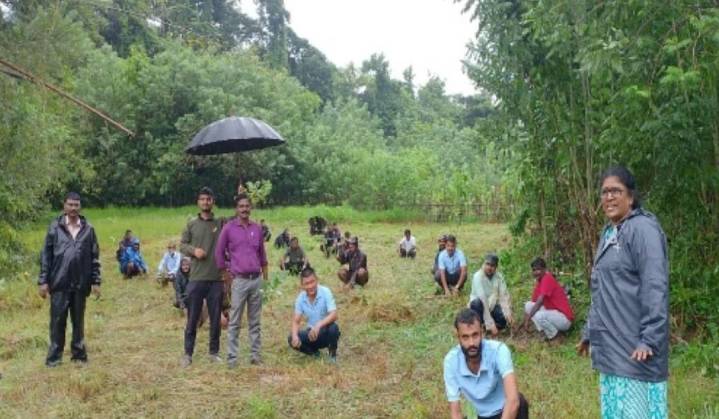 Mayabunder Forest Division Organizes Beach Clean-Up and Mass Plantation Drive