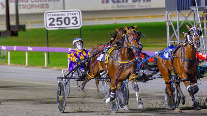 RACING 
                                          Comments
                                        
                                          Premium
                                        Ideal 
