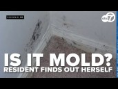 Black substance tests positive for mold in Maryland apartment after resident pays for her own test