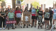 Azuaga se moviliza para pedir justicia por la muerte de 32 perros de caza More