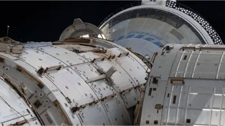 Rusia lanzó al espacio un "arca de Noé" con animales y plantas