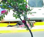 Ataque armado en Matamoros