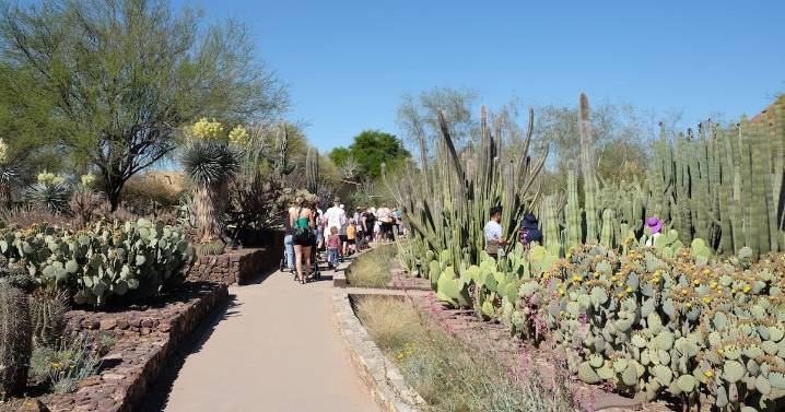 La ciudad de Phoenix ofrece actividades para todos los gustos en esta temporada