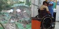 Mujer de 79 años murió tras ataque de abejas en Puerto Maldonado: guías turísticos arriesgaron su vida para rescatarla