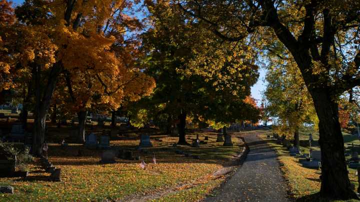 Warm temperatures with clear skies are forecast for Michigan this week