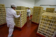 Las nuevas empresas crecen en la región un 7,2% interanual