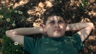 Israeli Filmmakers Warn an Industry Boycott Will Hurt Dissidents